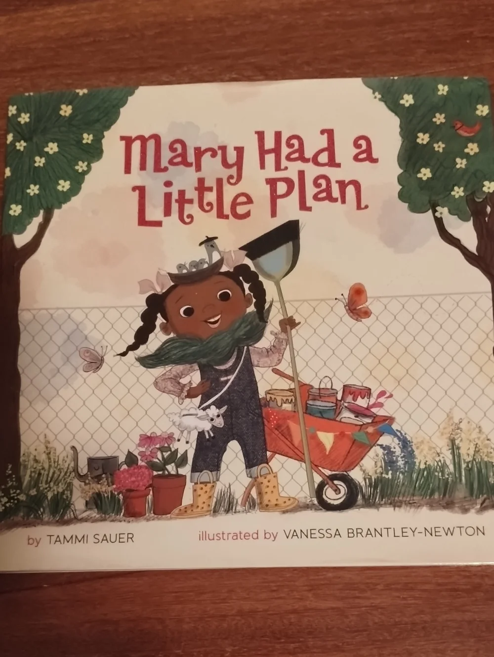 Mary Had a Little Plan NEW Book